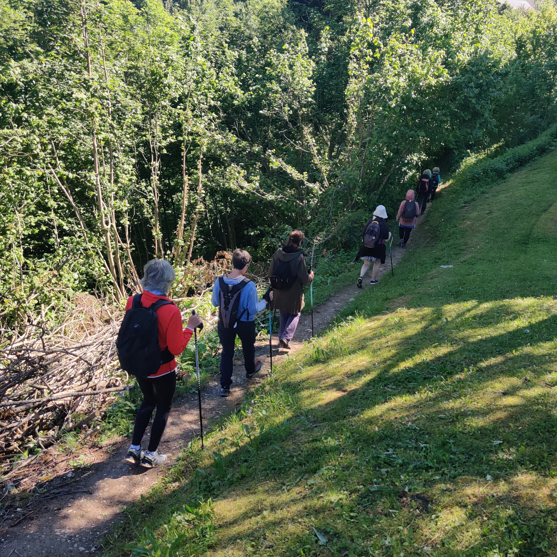 Groupe avançant sur un sentier en pleine nature
